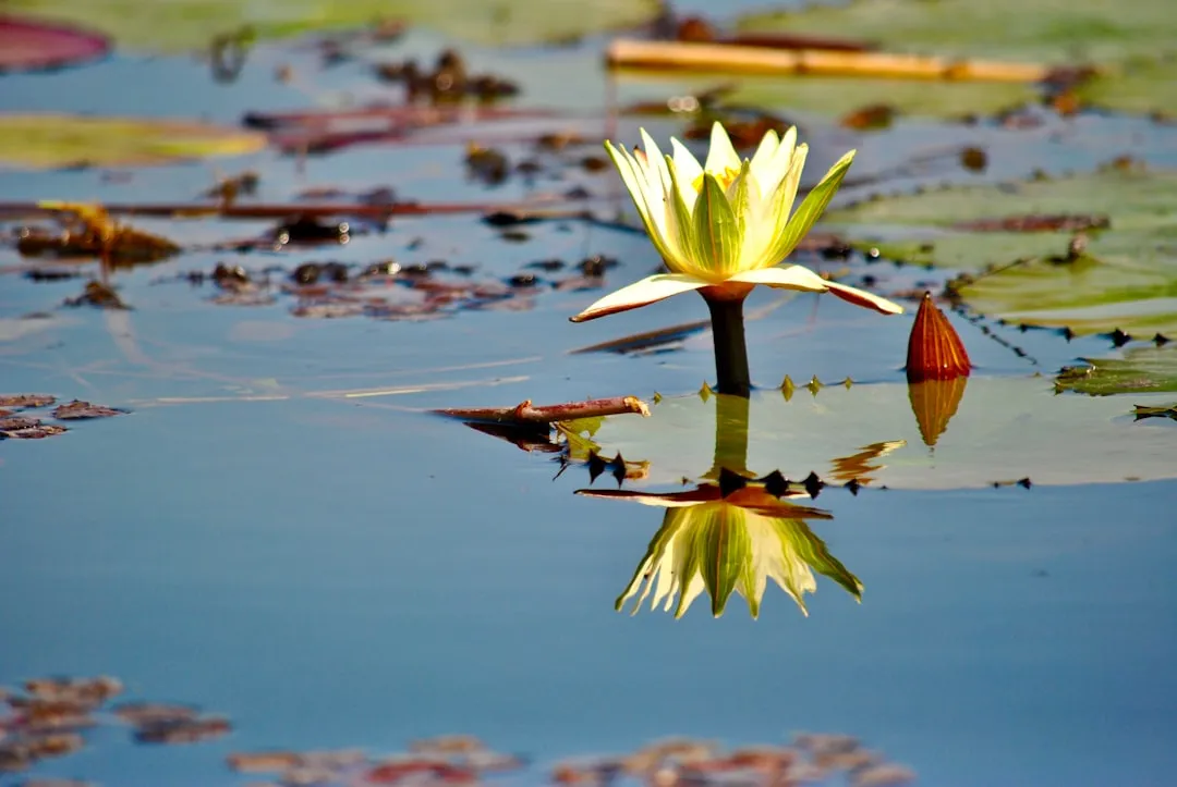 Botswana